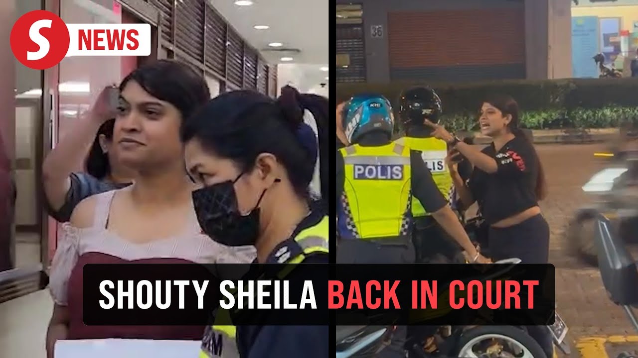 'Inspector Sheila' charged with obstructing police from discharging duty