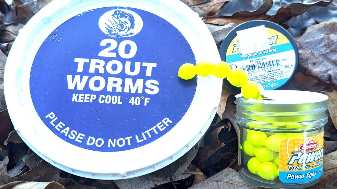 Do Trout Like Bacon & Eggs?? [Yes!]