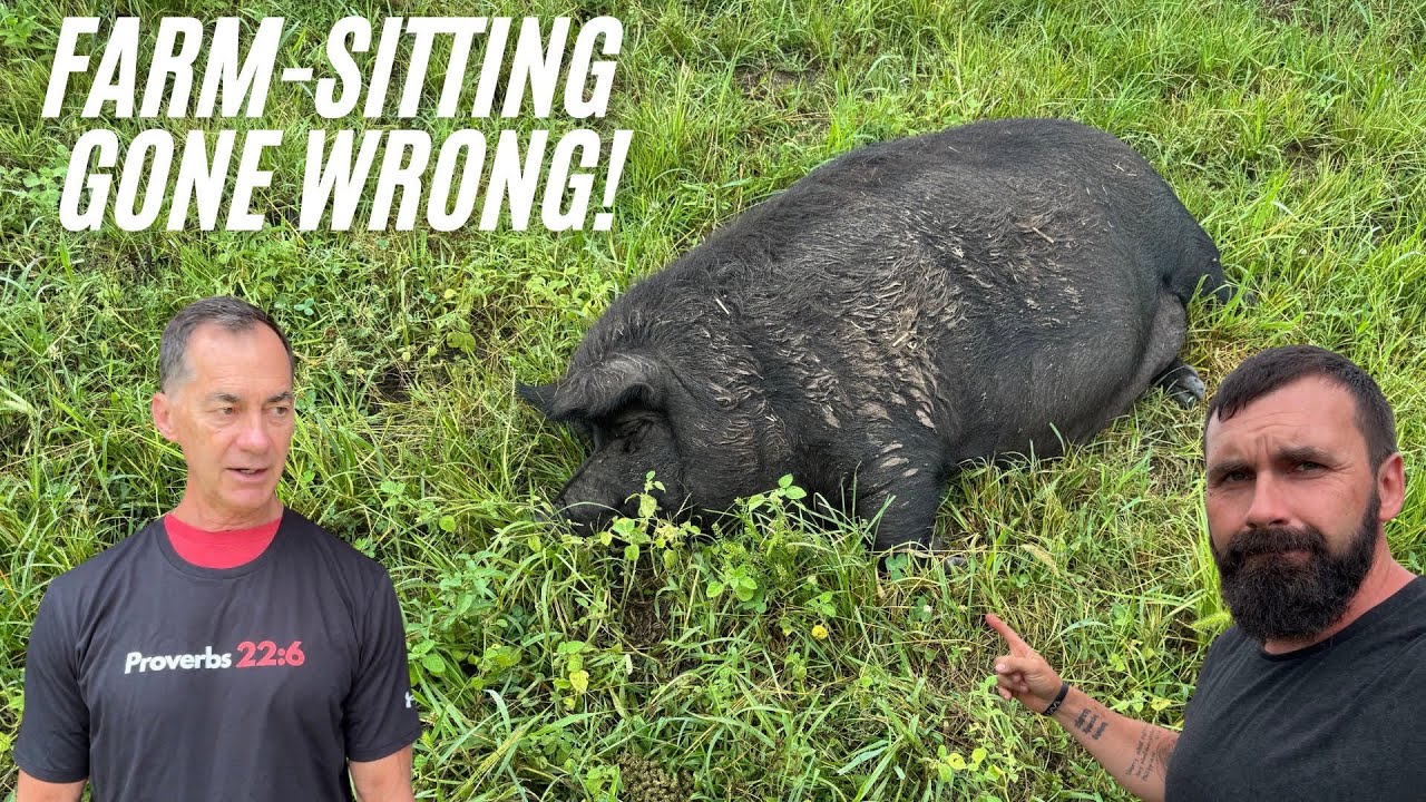 I FOUND HER LIKE THIS!!!