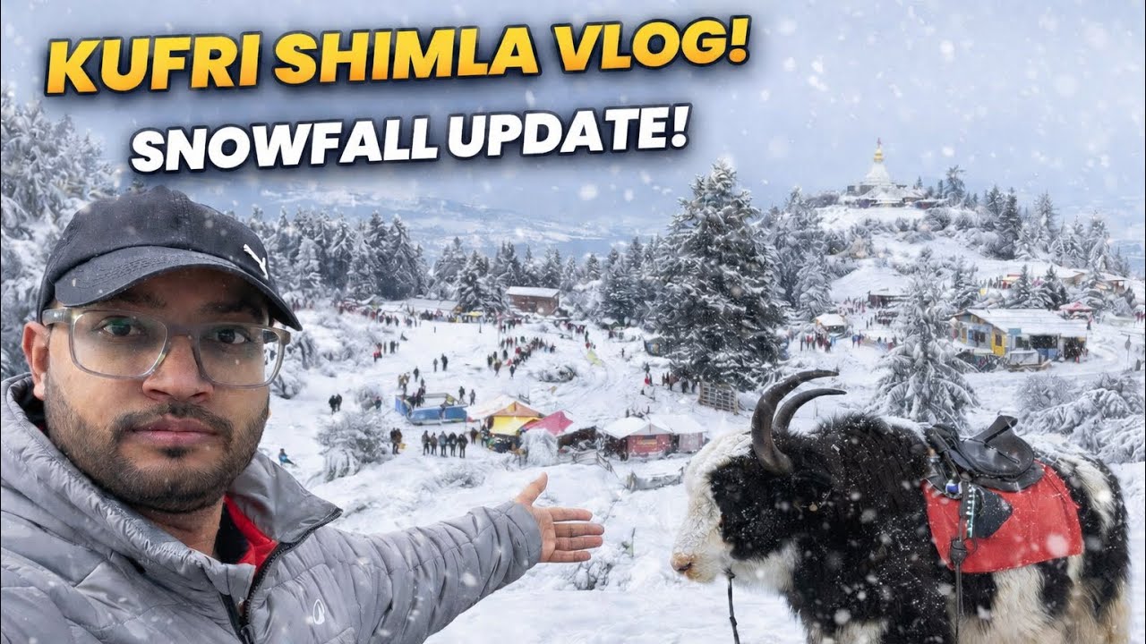 Kufri Shimla 2026 | Shimla To kufri 50 ₹ only | Kufri Complete Tour