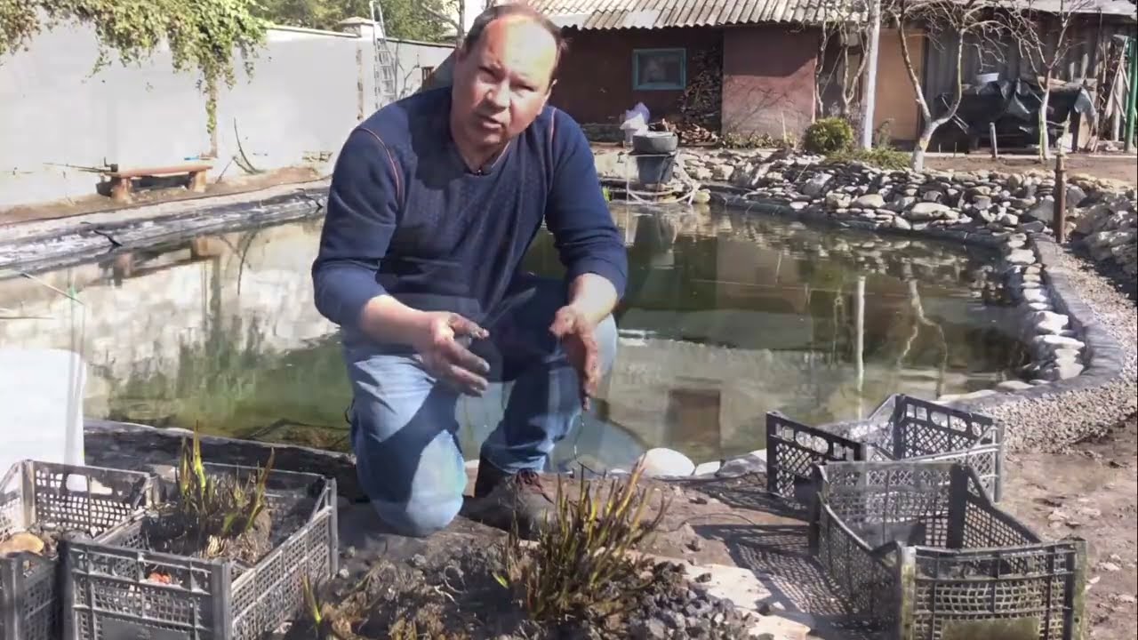 Pond bulge