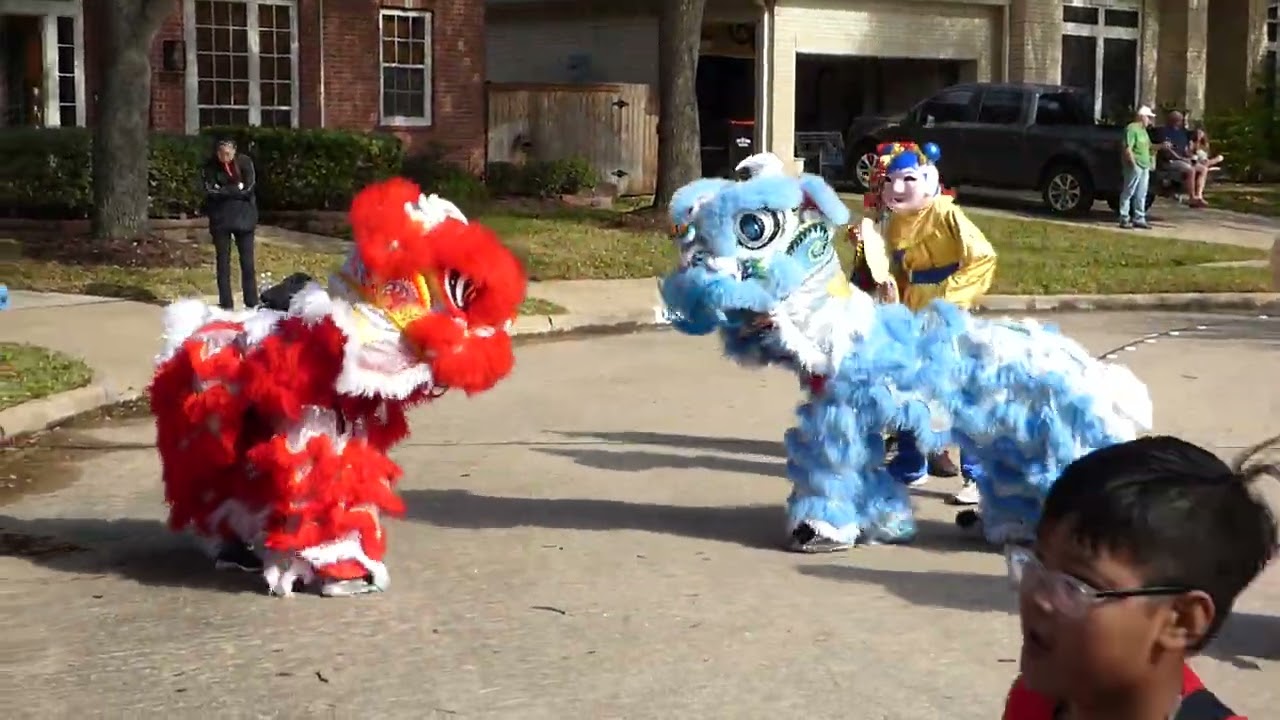 Chinese Lion dance part 4