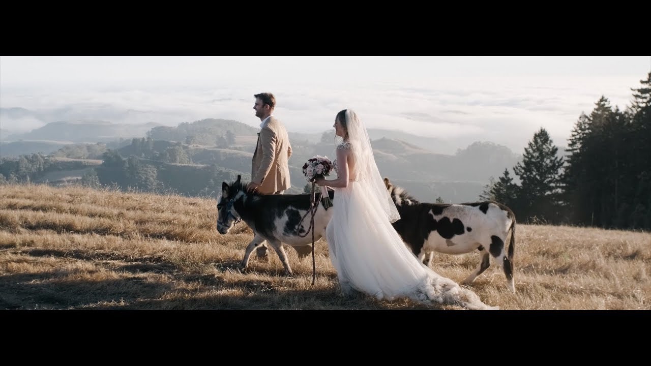 A Redwood Forest Wedding | Emily & Justin | California Wedding Videography | Leura Film