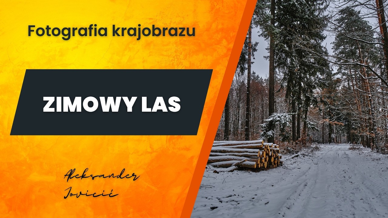 Jak fotografować las zimą? Poradnik fotografii krajobrazu w lesie. Fotografia krajobrazu zimą.