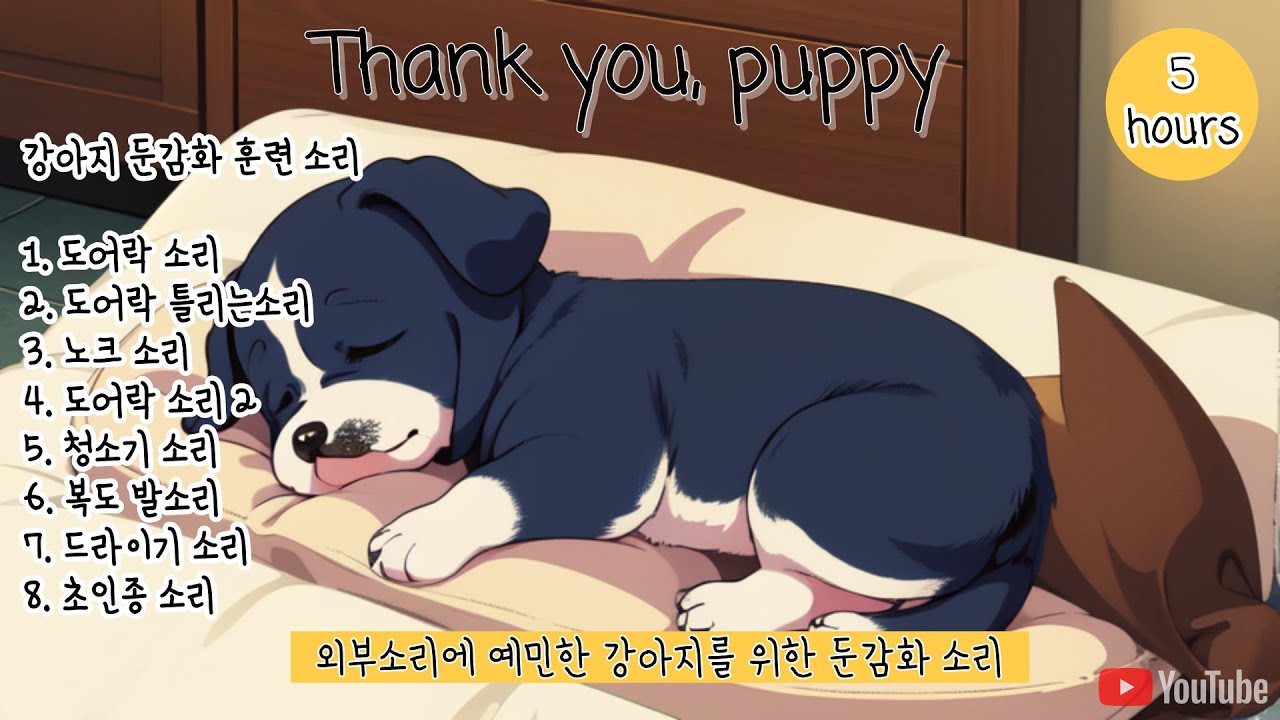 5시간 광고❌ 강아지 둔감화 훈련 소리 🐶 외부 소리 적응 훈련 🐶 외출 시 훈련 시 틀어주세요  ❤️