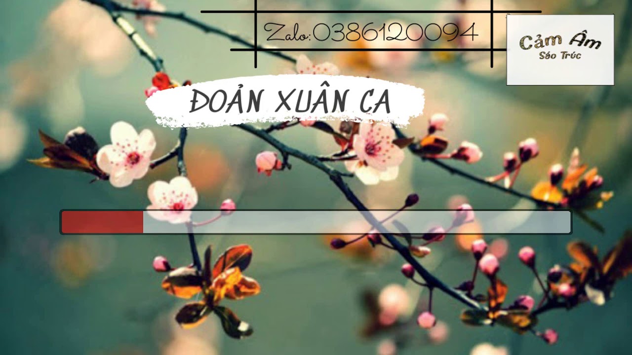 cảm âm ĐOẢN CA XUÂN C5