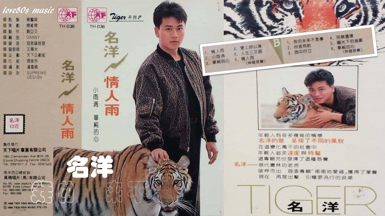 【那些熟悉的歌】名洋《 我的未来不是梦 》