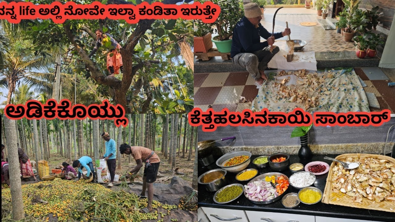 ಮರ ಹತ್ತಿ ಹಲಸಿನಕಾಯಿ ಕಿತ್ತೆ & ನನಗೇನು ನೋವೇ ಇಲ್ವಾ ಜೀವನದಲ್ಲಿ/ಕೆತ್ತಹಲಸಿನಕಾಯಿ ಸಾಂಬಾರ್