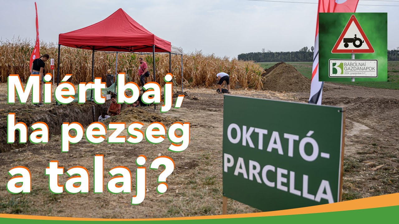 Így néz ki a talaj az 