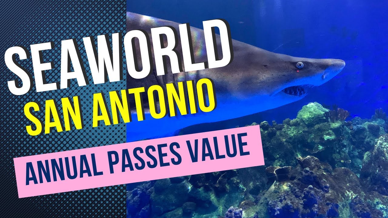 Is the SeaWorld San Antonio Annual Pass Worth It?