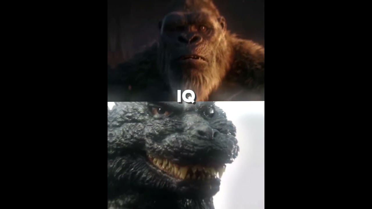 Monsterverse vs Toho Godzilla&rsquo;s random battle part 1 #monsterverse #toho
