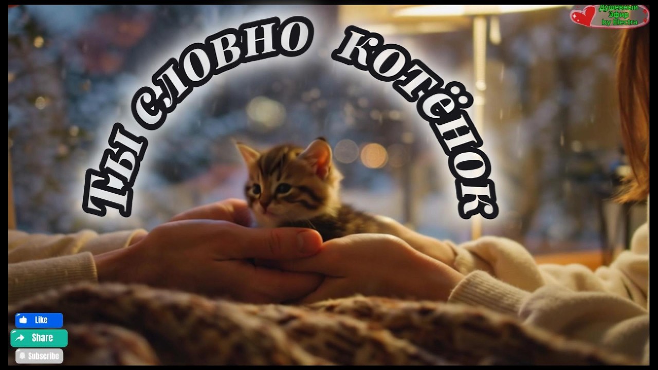 РУССКАЯ МУЗЫКА 2026 ♫ | ⚡ Ты словно котёнок | 🎧 New Russian Music