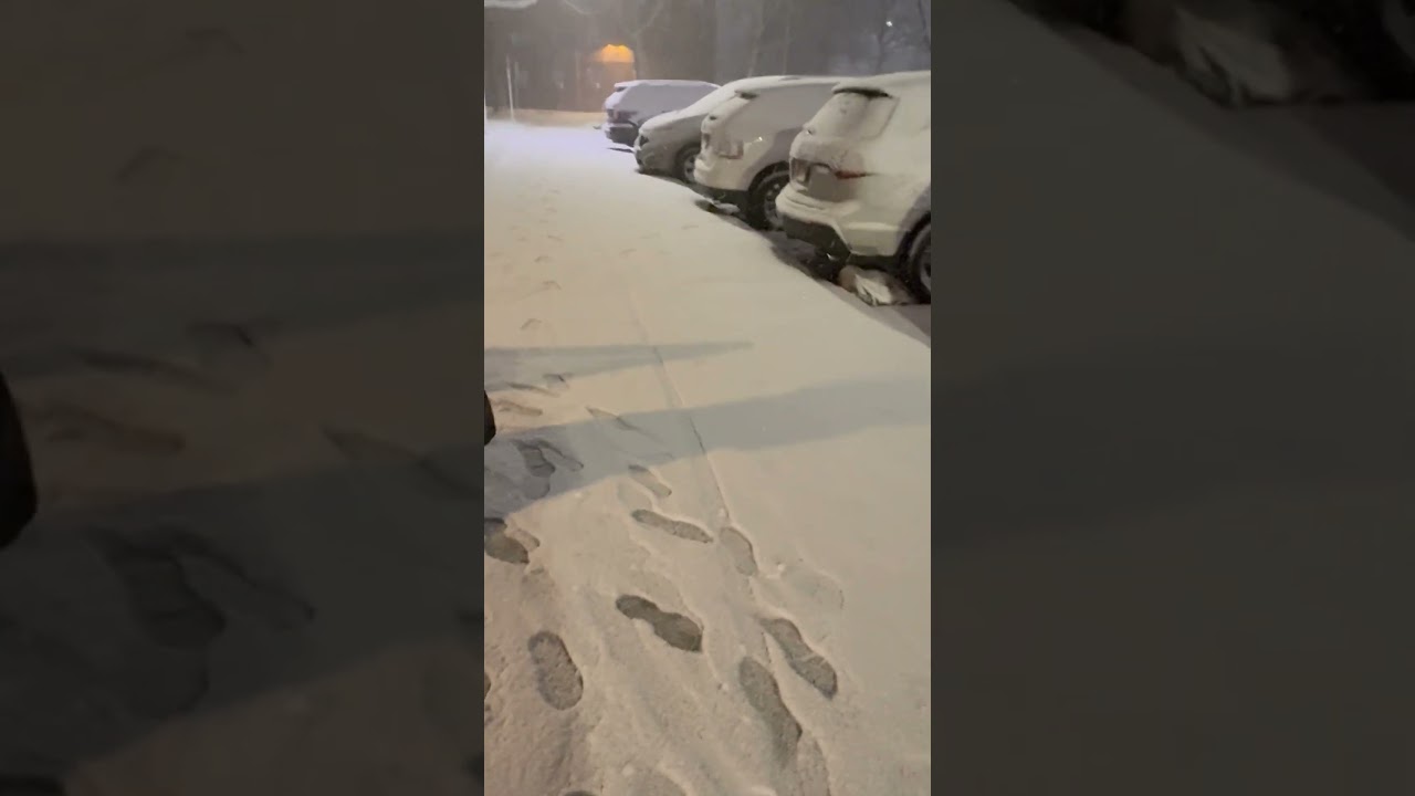 Miren cuantas nieves