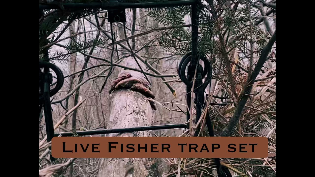 Fisher trap set
