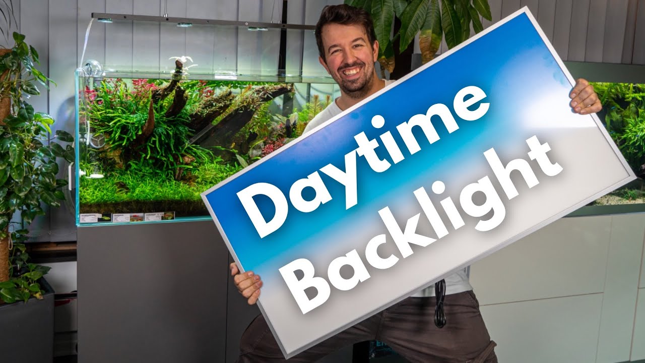 Daytime Backlight! Beleuchtete Rückwand für jedes Aquarium! | Liquid Nature
