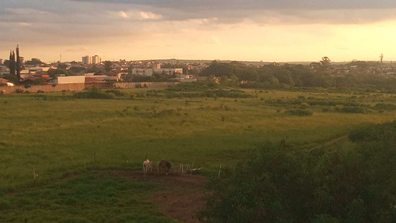 Sente a presença de DEUS olhando a natureza #natureza #
