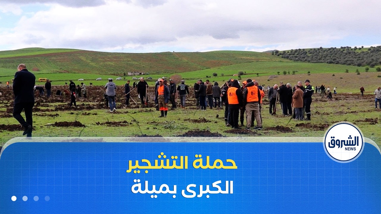 غرس أزيد من 127 ألف شجيرة عبر 32 بلدية في ولاية #ميلة