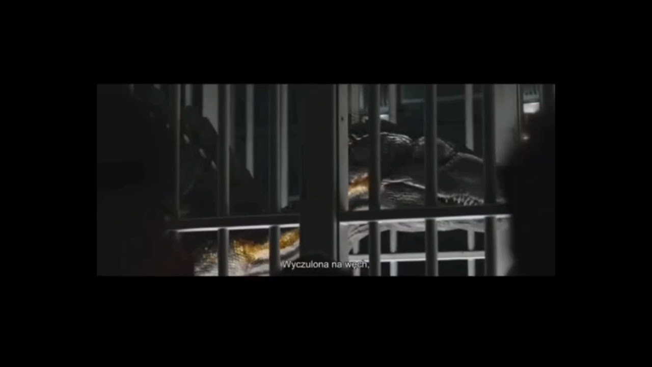 indorraptor Edit freue tiktok Edit tiktok Niko.ist.kr0ss