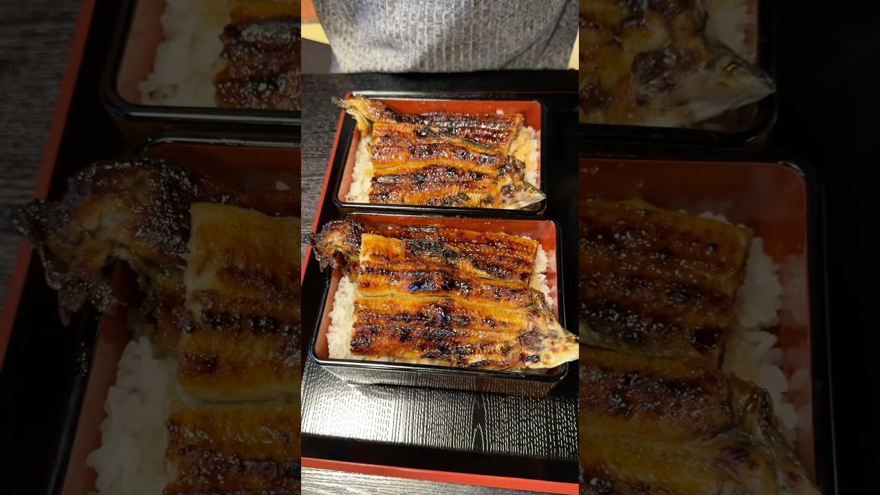 脂のり抜群の肉厚活鰻を炭火で焼き上げる究極のうな重🤤注文毎に焼き上げる鰻は皮パリッと身は肉厚ジューシーで美味しすぎる！#大好物は高カロリー #japan #japanesefood #asmr