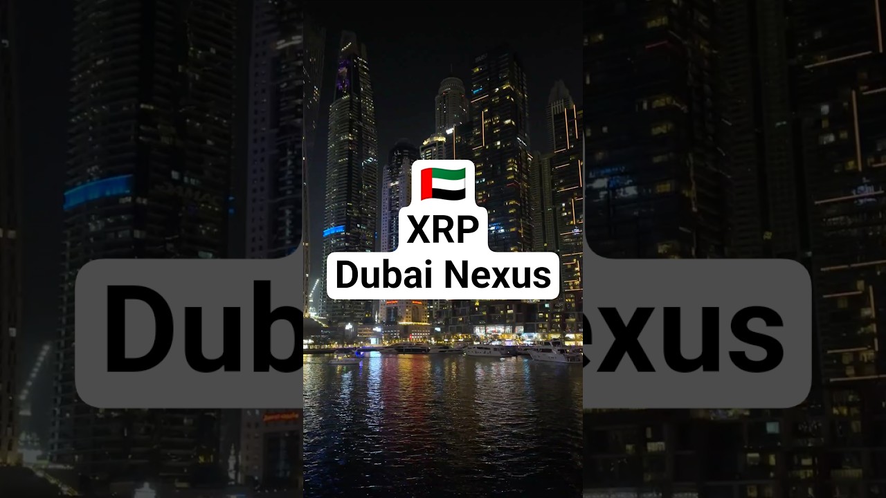 🇦🇪 XRP Dubai Nexus