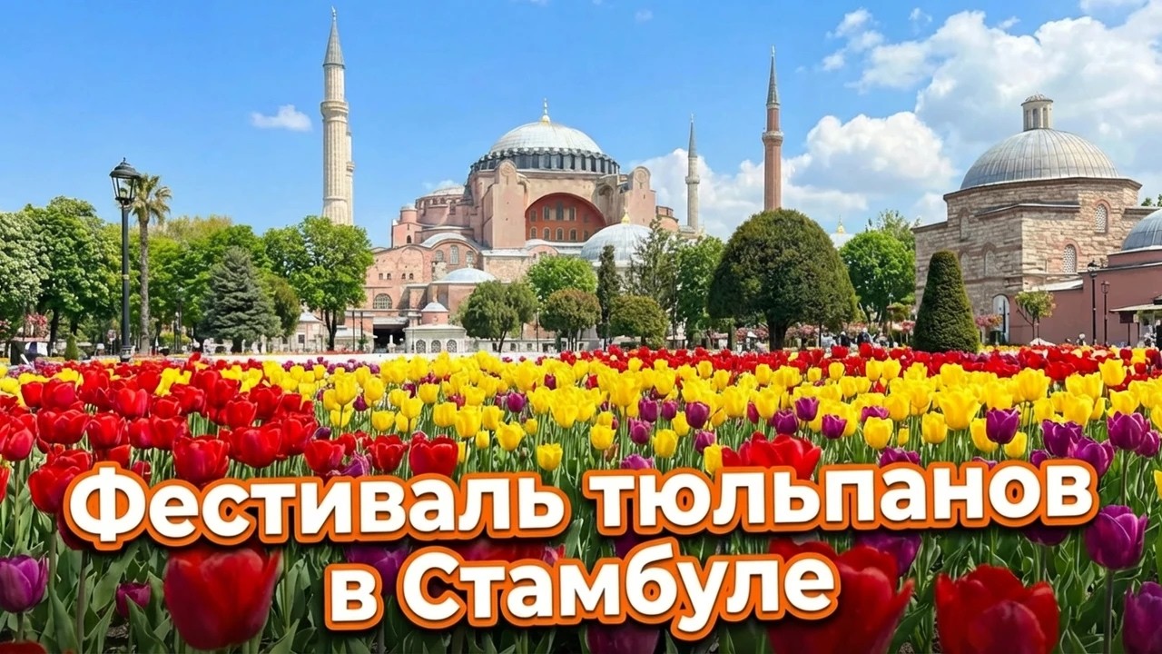Стамбул за один день,когда проходит фестиваль тюльпанов