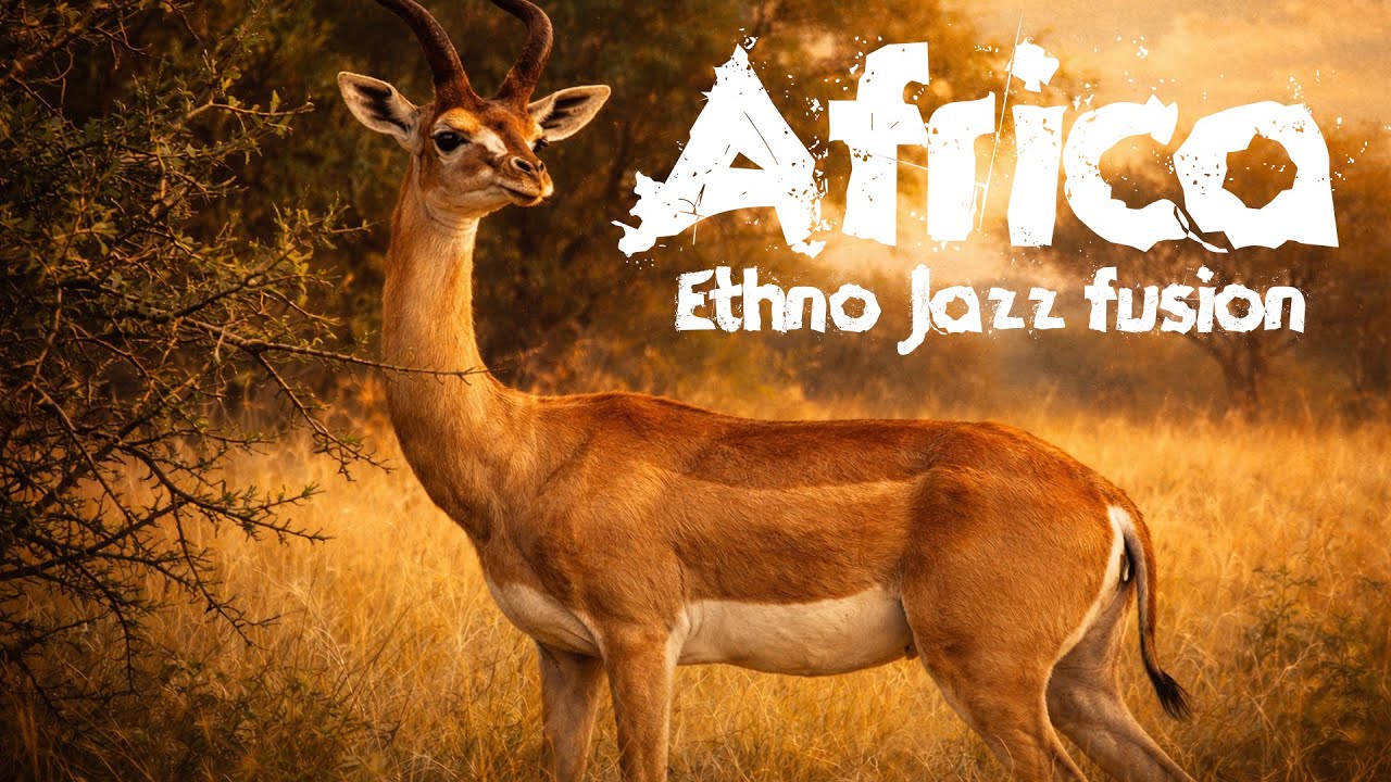 Rhythms of Africa &mdash; Ethno Jazz Fusion Mix | World Jazz Lounge