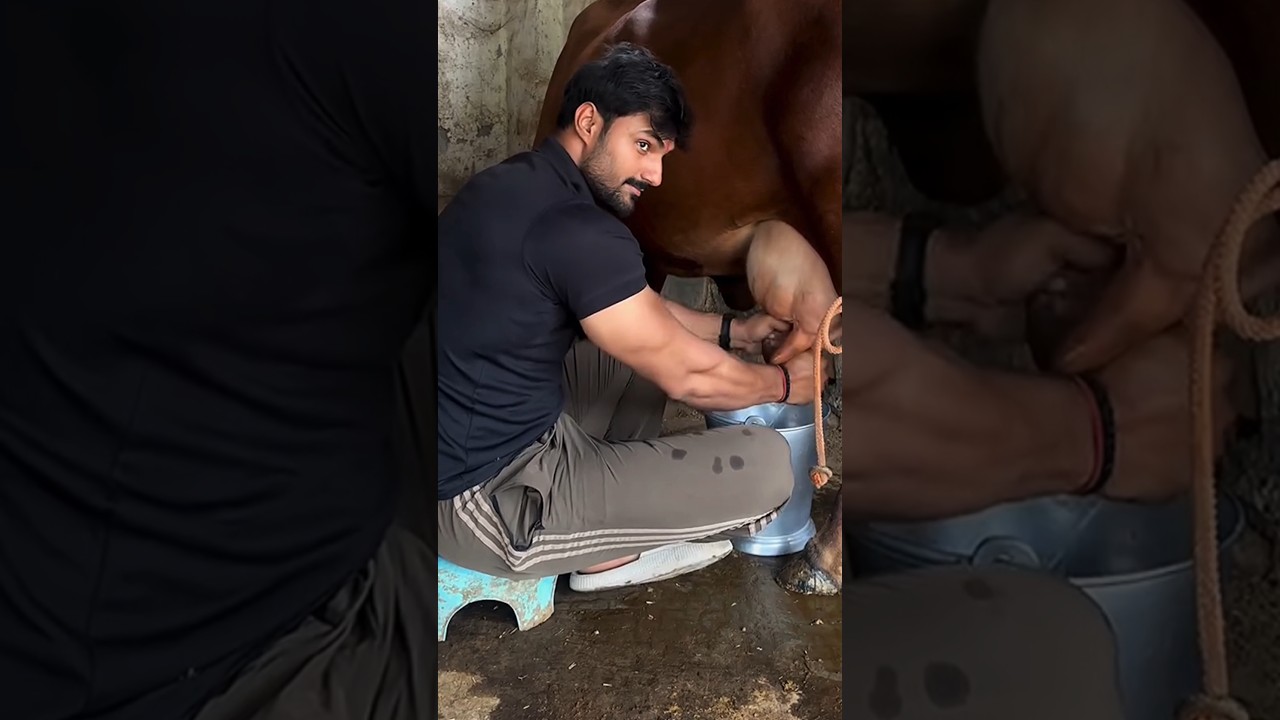 Мускулистый мужчина, деревенская жизнь