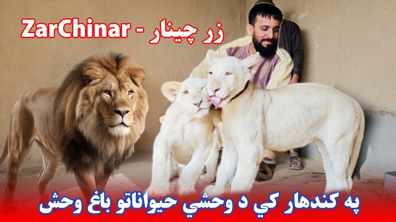 په کندهار کي نوی باغ وحش | New Zoo in Kandahar