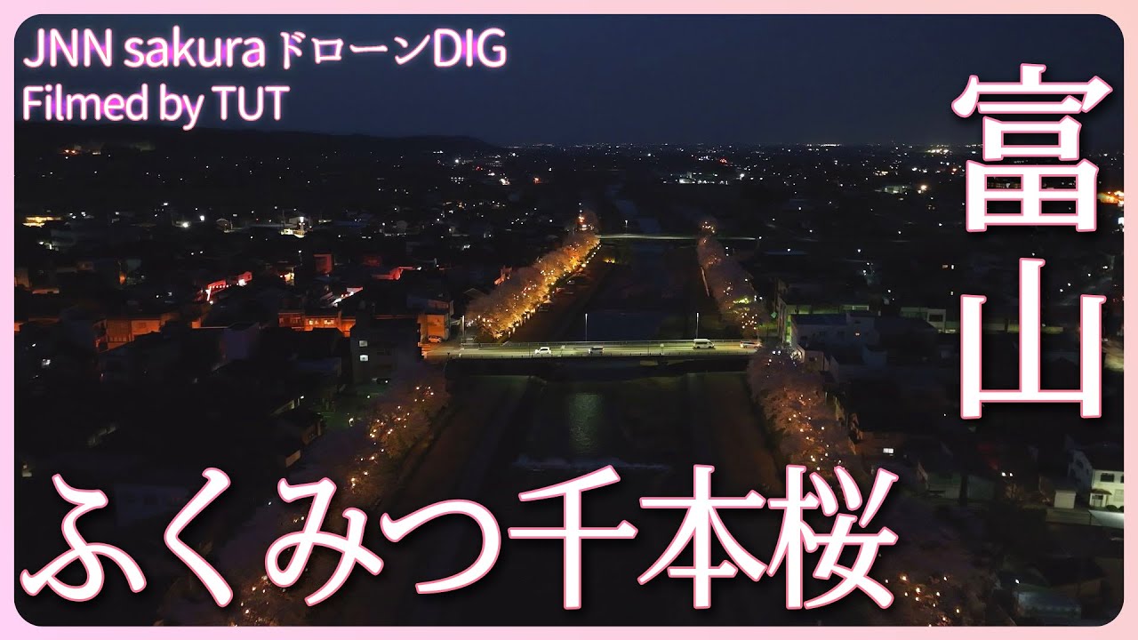 闇夜に浮かぶ ふくみつ千本桜　富山県・南砺市【JNN sakuraドローンDIG 2023】