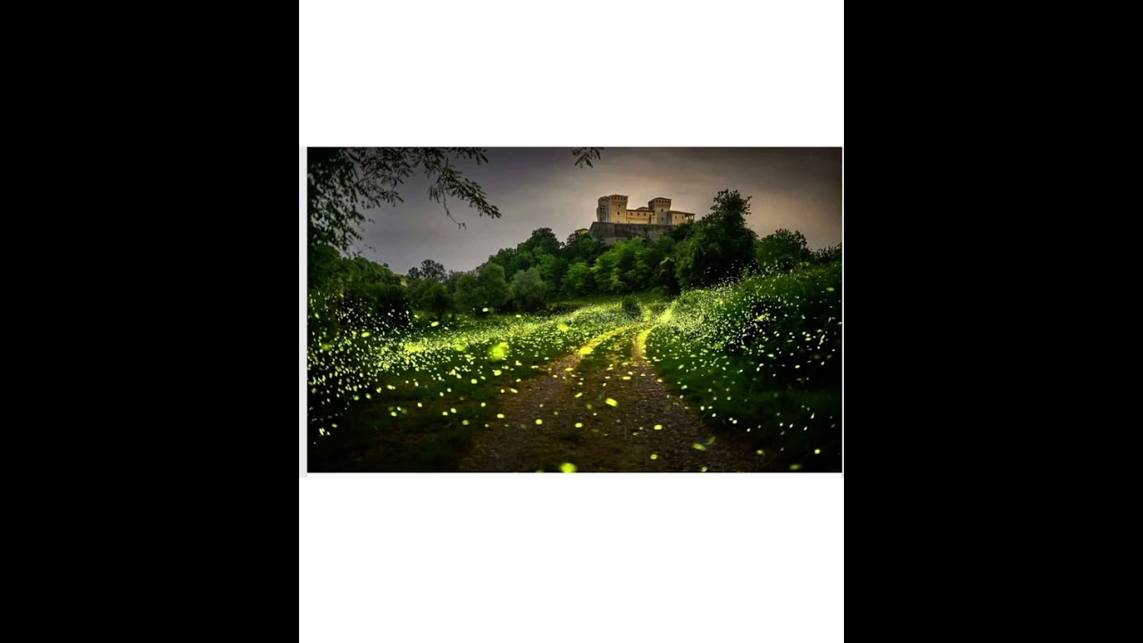 Le lucciole illuminano il Castello di Torrechiara nel Parmense meta EnPlainAir del giorno VanLife