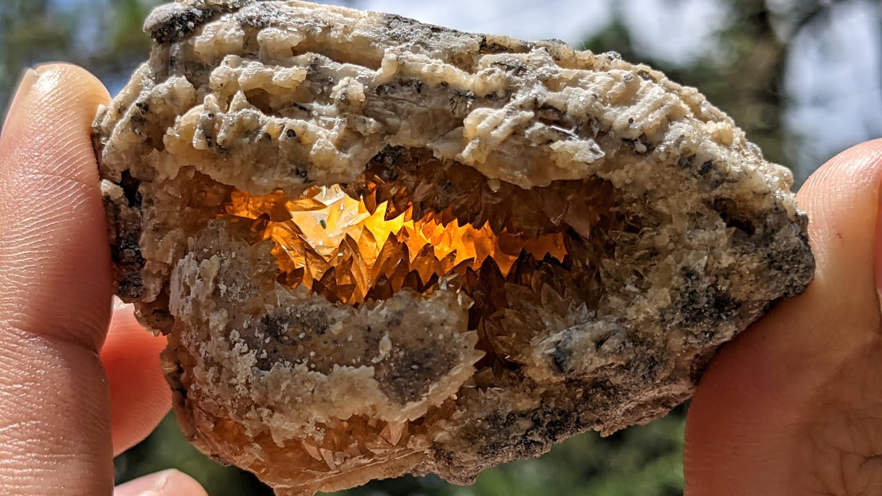 You DO NOT Want to Miss this EPIC Fossil Hunting and Crystal Hunting Adventure! Florida Rockhounding