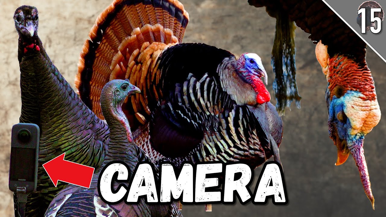CRAZY ROOST HUNT! (Awesome 360 Degree Footage!) | Bowhunting Turkeys