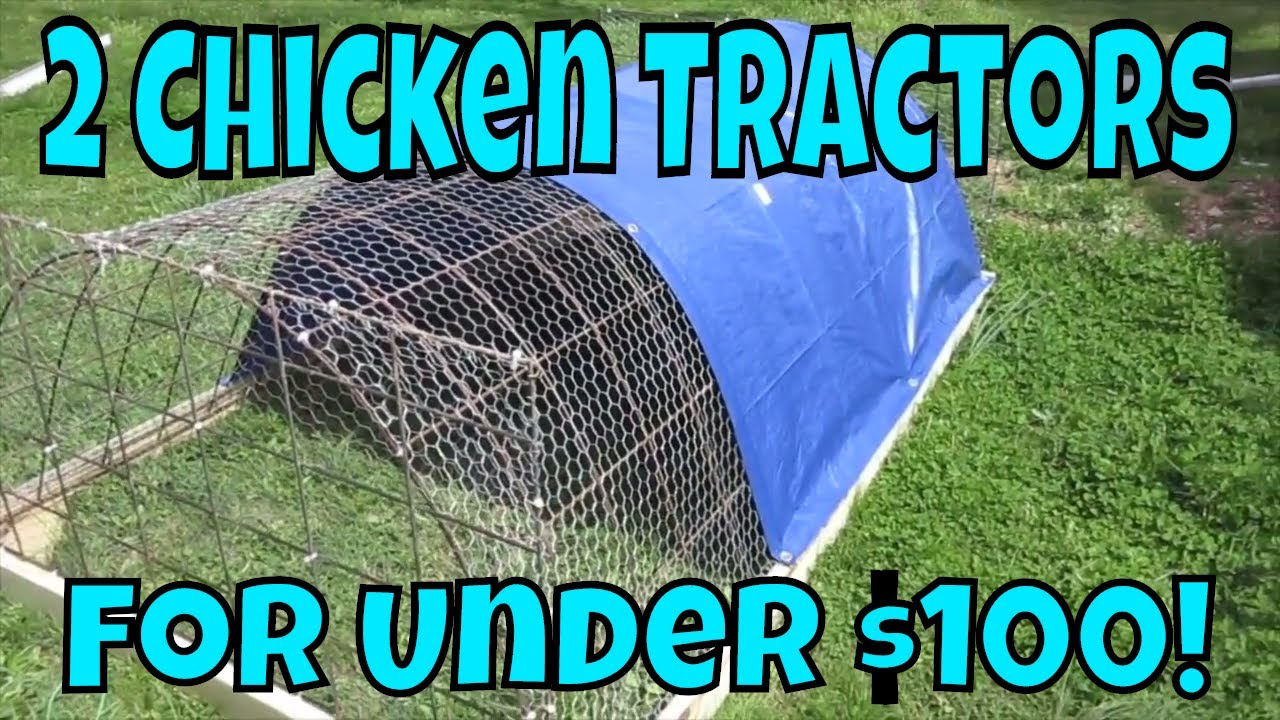 How to Build 2 Chicken Tractors in 4 hours for under 100 dollars