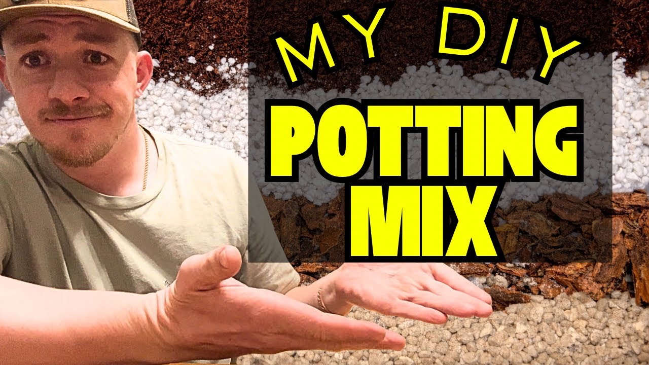 THIS SOIL MIX MADE MY PLANTS EXPLODE🤯💥