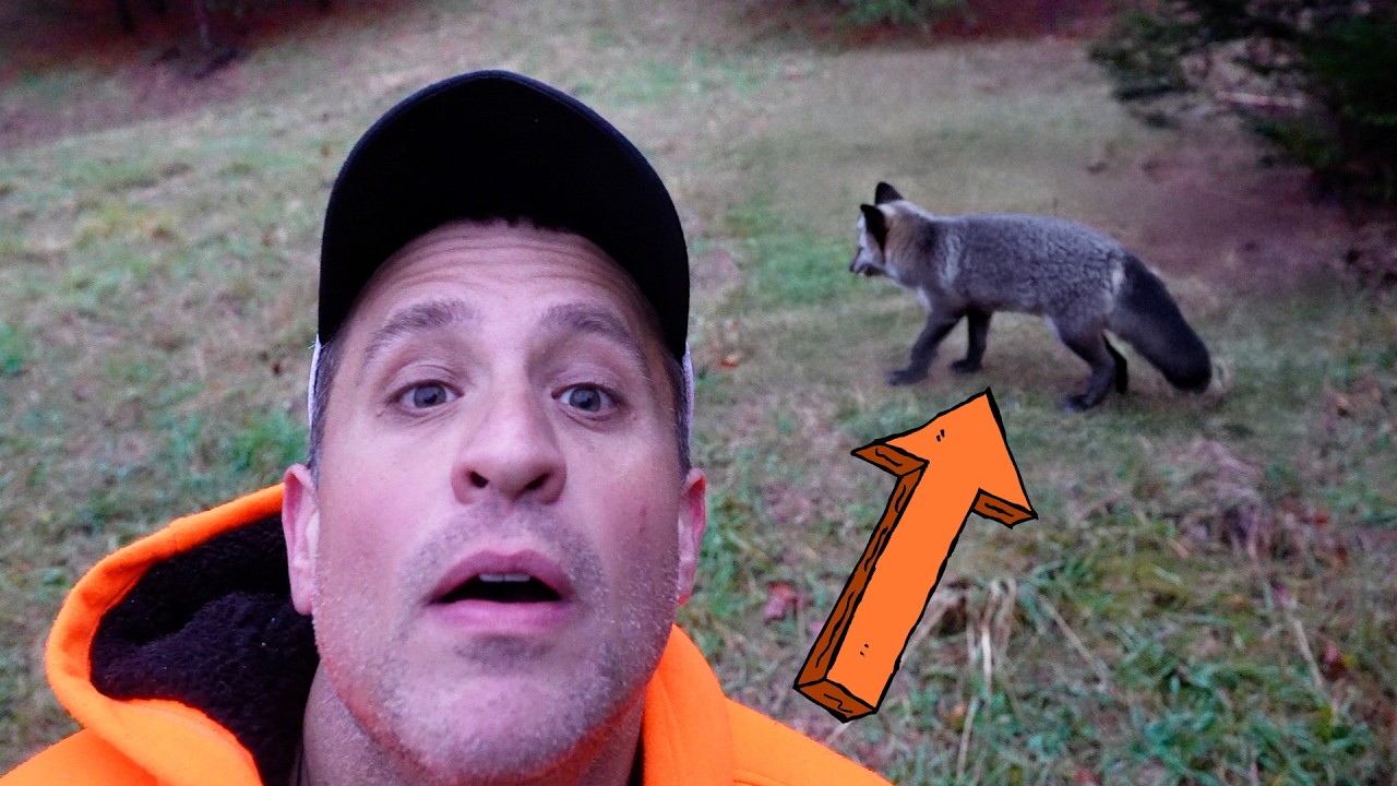 The Story of the Grateful Fox