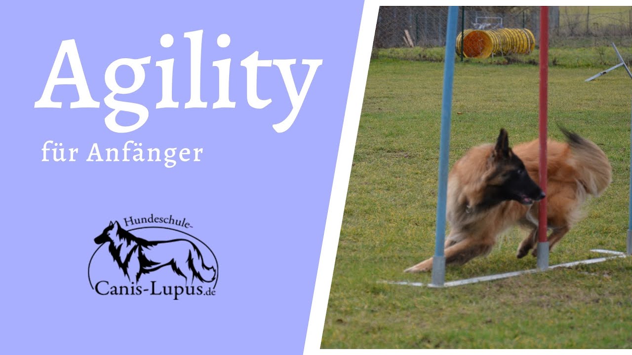 Agility 