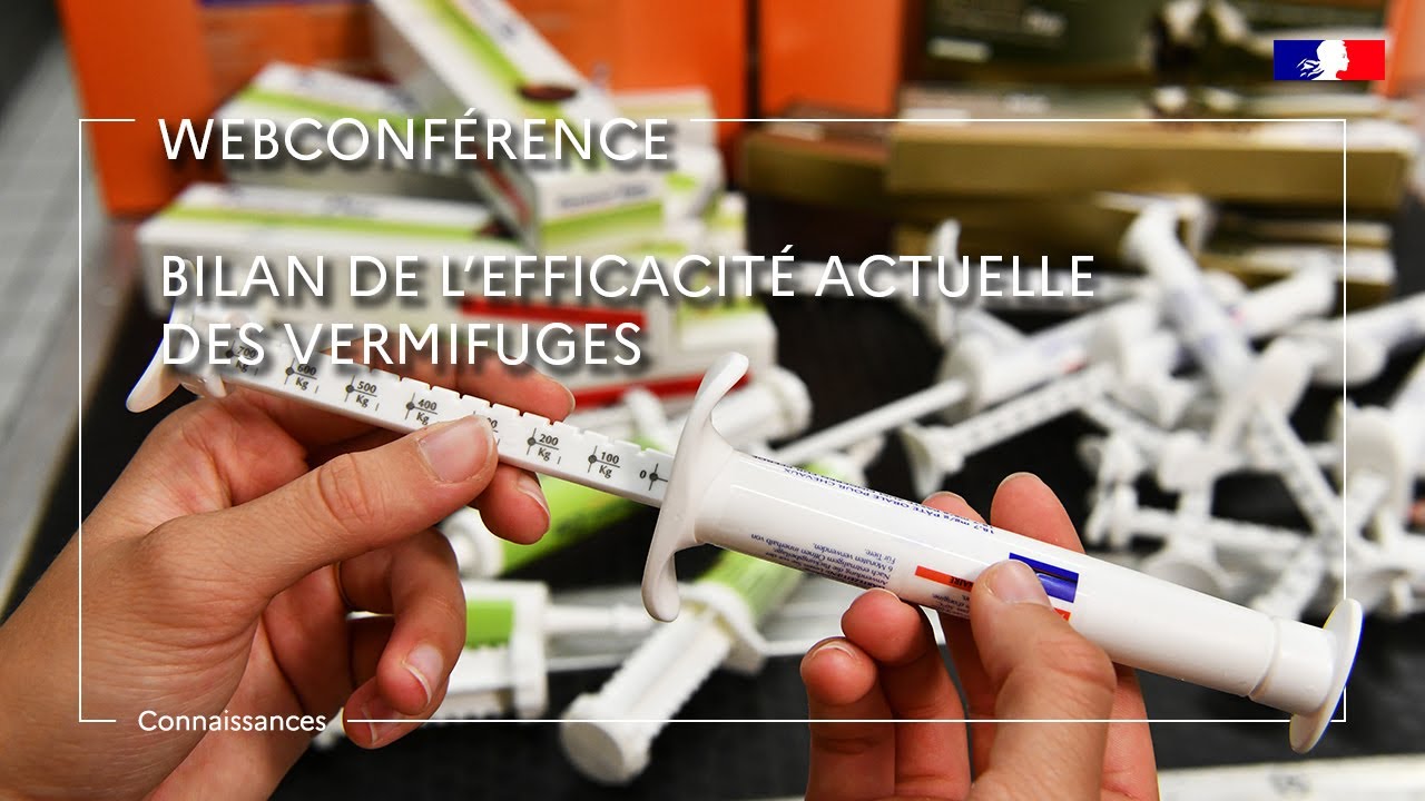 Bilan de l’efficacité actuelle des vermifuges - Aurélie Merlin