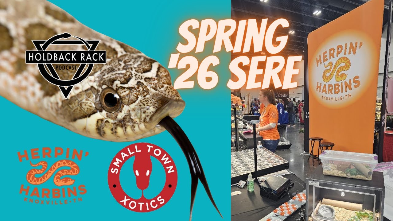 HRP 225 - Reptile Show Report for SERE - Herpin Harbins & Small Town Xotics