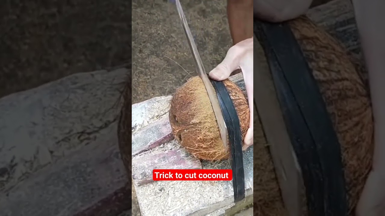 Unique way of cutting coconut fruit #woodturning #wood #coconutturning