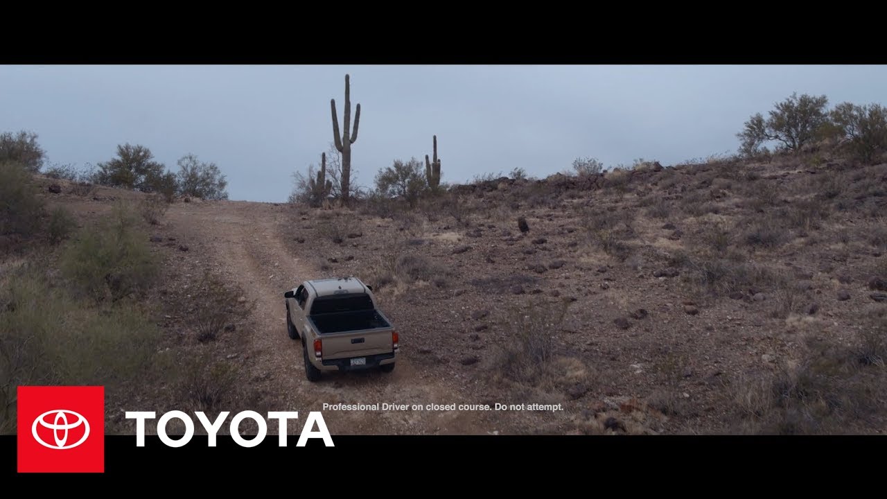 Toyota Untold: TAPG | Toyota