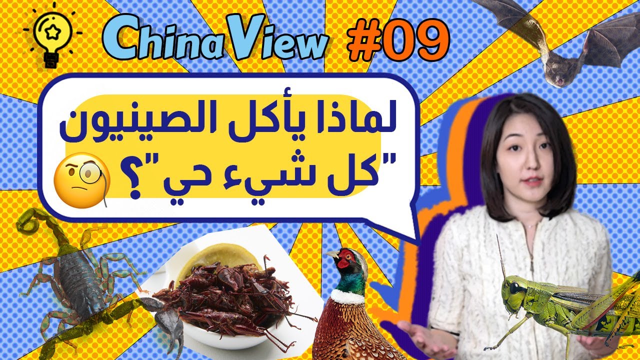 لماذا يأكل الصينيون كل شيء حي؟
