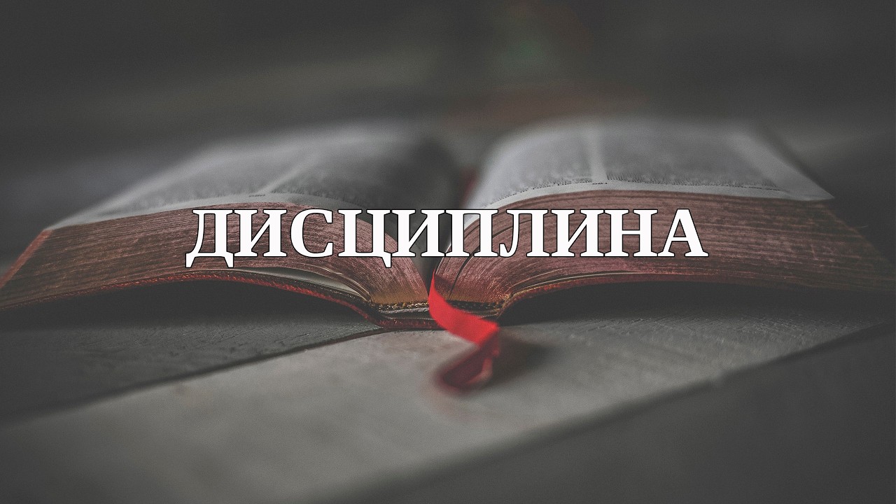 Дисциплина