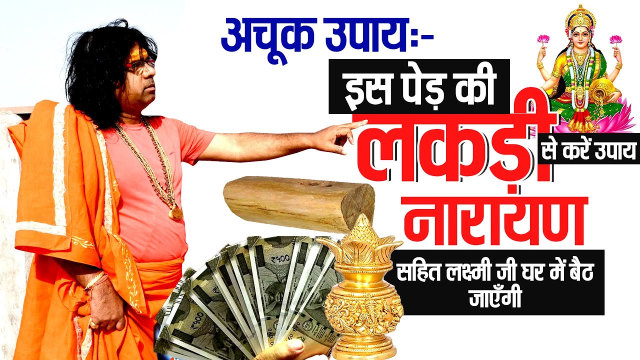 (अचूक उपाय) इस पेड़ की लकड़ी से करें उपाय, नारायण सहित लक्ष्मी जी घर में बैठ जाएँगी