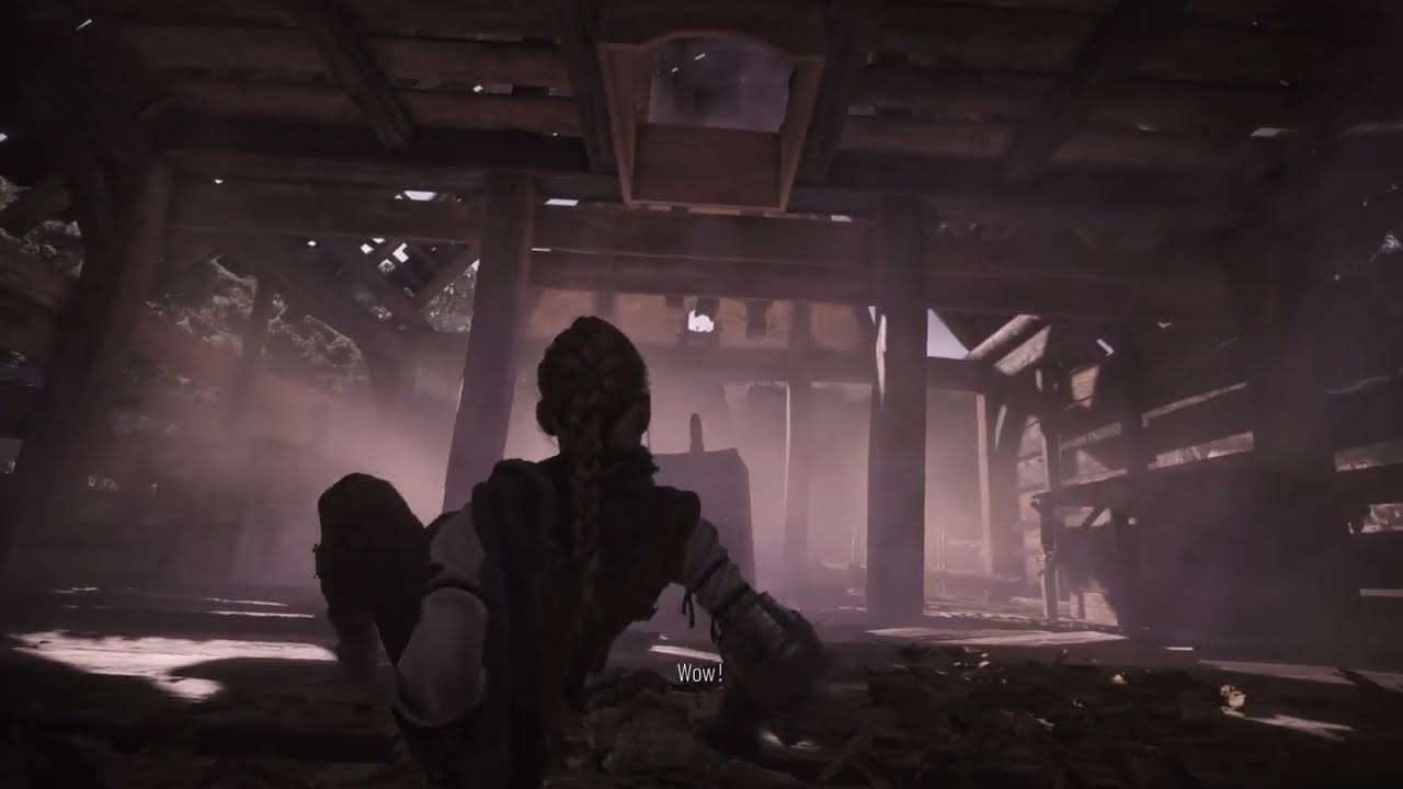 PS5 A Plague Tale: Requiem NG+,Part 28