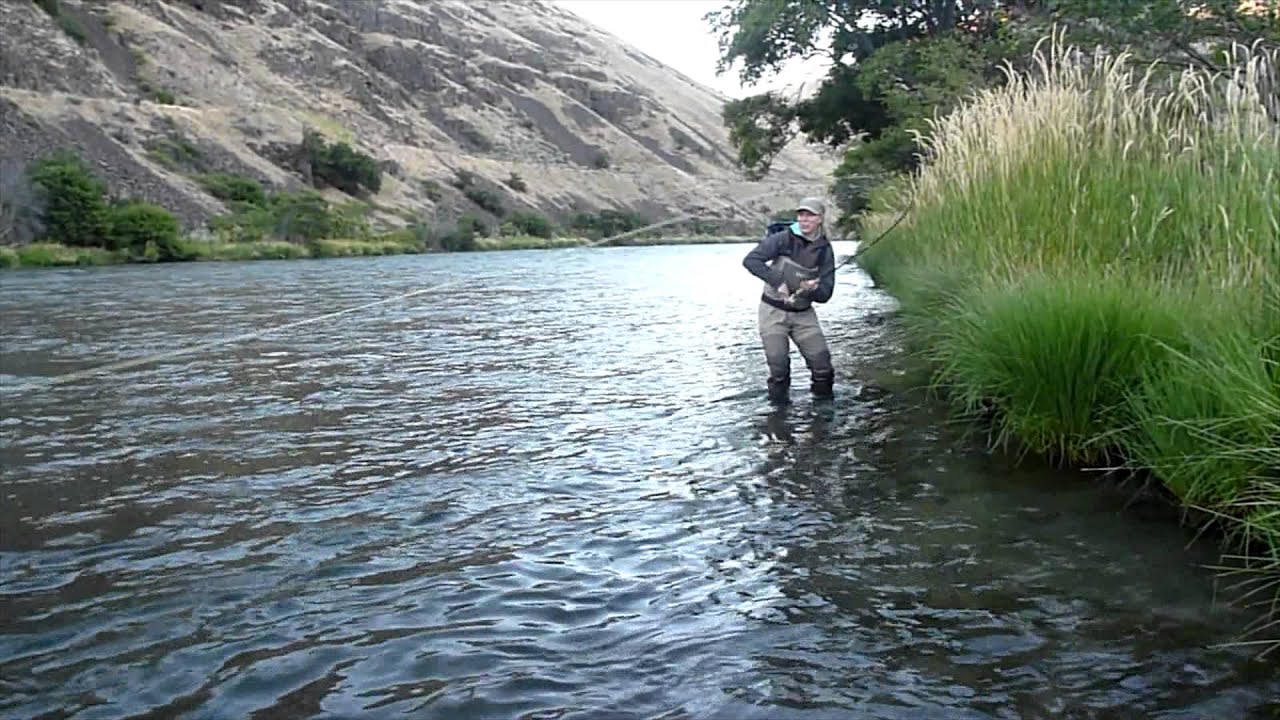 Hardy Marquis Salmon Reels