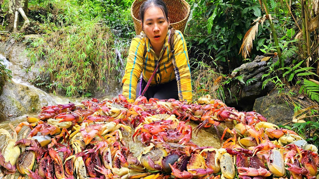 Harvest forest crabs in the rainy season - giant stone crab - How to Cook Delicious Crab