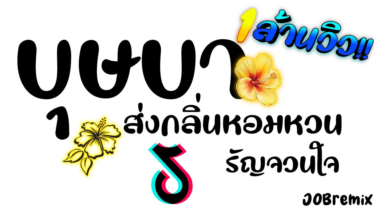 เพลงแดนซ์มันส์ๆ2024 