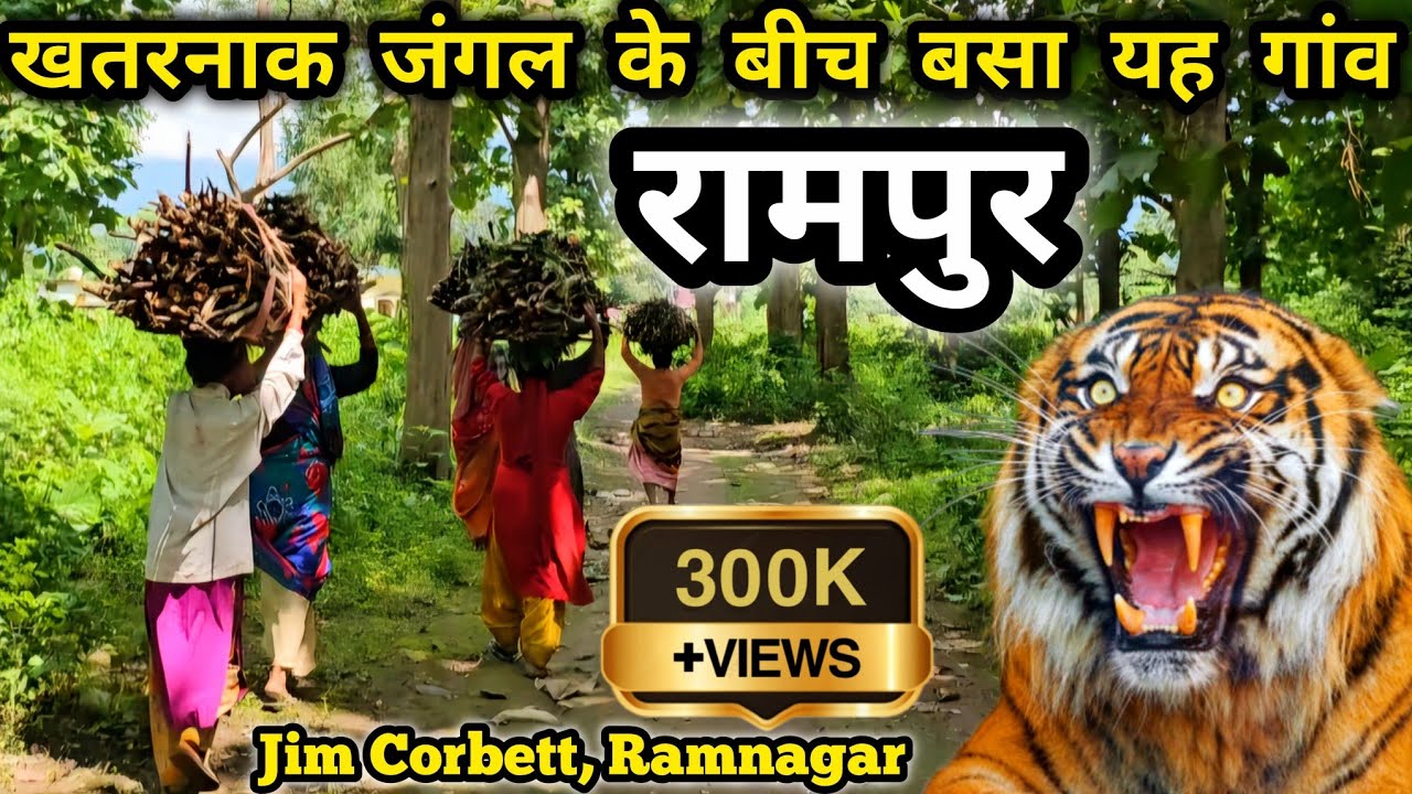 Jim Corbett के खतरनाक जंगल के बीचो-बीच है यह गांव | Rampur Village Ramnagar | Sitabani #uttrakhand
