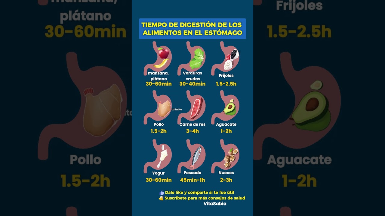 Cómo digiere el estómago los alimentos
