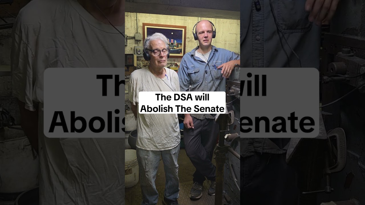DSA хочет упразднить Сенат